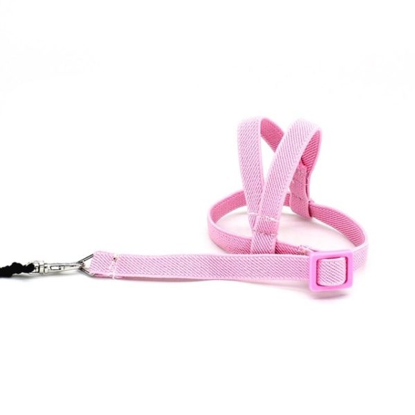 Hot-Sale-Anti-bite-Flying-Training-Rope-Parrot-Bird-Pet-Leash-Kits-Ultralight-Harness-Leash-Soft.jpg_640x640.jpg